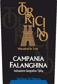 Torricino Falanghina